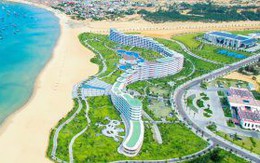Bình Định: Tổ chức đấu giá 6 khu đất dự án trên địa bàn TP Quy Nhơn