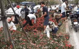 Lãnh đạo cty cây xanh đề nghị trích xuất camera tìm những người đánh ô tô "hôi hoa" ở đường Kim Mã