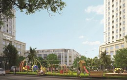 Nhà phố Thanh Hóa: Đón xuân sang, rước lộc vàng