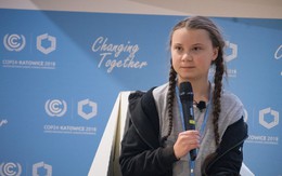 Cô bé Thuỵ Điển 16 tuổi kêu gọi bảo vệ môi trường, chỉ trích các nguyên thủ quốc gia với từ ngữ đanh thép: "Các vị không đủ trưởng thành để nói về việc xây dựng kinh tế xanh, bỏ mặc các vấn đề cho thế hệ sau gánh vác"