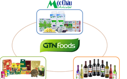 Vinamilk chính thức chào mua công khai gần 47% cổ phần GTNFoods với mức giá thấp hơn giá thị trường