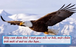 Không dám bước ra khỏi "vùng an toàn", bạn đang khiến cuộc sống của chính mình lụi tàn dần: Lựa chọn sự thoải mái, ổn định là chấp nhận cảnh đời tầm thường, muôn đời không có cơ hội thành công