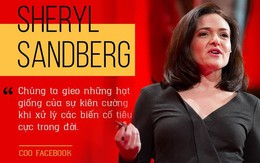 Sheryl Sandberg và chuyện “đi ngược” để chứng minh: Phụ nữ có thể thành công ở thánh địa của đàn ông!