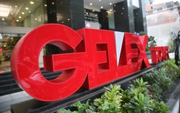 Gelex lên kế hoạch lãi 1.380 tỷ đồng năm 2019, tiếp tục mở rộng sang lĩnh vực BĐS Khu công nghiệp