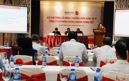 ĐHĐCĐ Chứng khoán Rồng Việt (VDSC): Kế hoạch 2019 thận trọng khi thị trường chứng khoán dự còn khó khăn