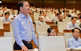 Đại biểu Quốc hội Lê Thanh Vân nói về vụ việc Jetstar thua lỗ, lãnh đạo vẫn được thăng chức