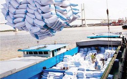 Vì sao xuất khẩu gạo Việt Nam sang Trung Quốc sụt giảm mạnh?