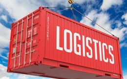 Prosper Logistics chi 240 tỷ đồng mua 15% cổ phần của Transimex (TMS)
