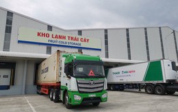 THACO đạt 1.800 tỷ đồng lãi ròng trong nửa năm, giảm 40% so với cùng kỳ