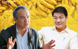 HAGL Agrico (HNG) xuất hiện giao dịch thỏa thuận gần 1.000 tỷ đồng, Thaco đã “xuống tiền”?