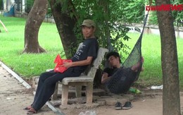 Video: Dân Hà Nội trốn gốc cây, gầm cầu tránh cái nóng 42 độ C