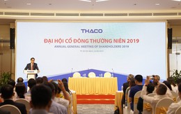 ĐHCĐ Thaco: Năm 2019 đầu tư hơn 7.200 tỷ cho nông nghiệp, triển khai dự án HAGL Myanmar giai đoạn 2