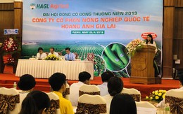 [Trực tiếp] ĐHĐCĐ HAGL Agrico: Bầu Đức khẳng định HAGL đến hiện tại không bị thu hồi đất ở Campuchia