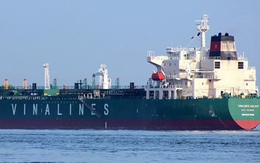 Vinalines lên kế hoạch lãi 304 tỷ đồng, thu hồi cổ phần Cảng Quy Nhơn