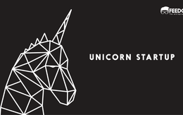 Các kỳ lân internet có thật sự đáng giá tỷ đô?