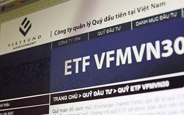 Quỹ ETF VFMVN30 quy mô gần 6.000 tỷ tăng tỷ trọng tiền mặt trong tháng 4, nắm giữ 4.600 hợp đồng phái sinh