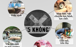 “5 không” và “10 cấm” trong phòng, chống dịch tả lợn Châu Phi