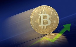 Bitcoin tiếp tục phá mốc 8.000 USD, tiền số đang thực sự hồi sinh?