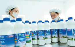 Sơn La được định hướng thành trung tâm sữa của Việt Nam, Mộc Châu Milk thêm lực đẩy để tiếp cận thị trường trong nước?