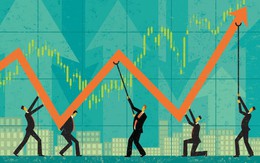 2 cổ phiếu bia Sabeco, Habeco tăng mạnh giữ sắc xanh cho VN-Index