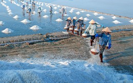 Ngành muối Việt khốn khổ vì hàng nhập khẩu và biến đổi khí hậu