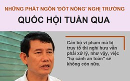 Infographic: Những phát ngôn làm 'nóng' nghị trường Quốc hội tuần qua