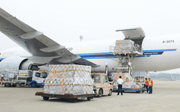 Saigon Cargo Service (SCS) chốt danh sách cổ đông trả cổ tức bằng tiền tỷ lệ 37%