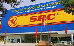 SRC tăng gấp đôi sau 5  tháng, một cá nhân bất ngờ rút lui khỏi đợt đấu giá thoái vốn nhà nước