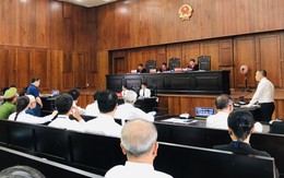 Vụ DongABank: VKS đề nghị khởi tố thêm trợ lý cựu TGĐ Trần Phương Bình, bác bỏ yêu cầu "nhận trách nhiệm" thay cho cấp dưới