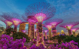 Những điều cần biết để tận hưởng chuyến du lịch Singapore theo phong cách “sang chảnh” với giá rẻ