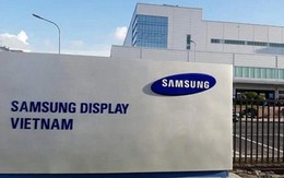 Lợi nhuận tổ hợp Samsung Việt Nam giảm mạnh theo tập đoàn mẹ, Samsung Display lỗ hơn 1.000 tỷ đồng