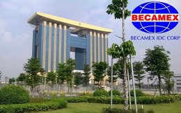 Becamex IDC dự chi hơn 600 tỷ đồng trả cổ tức cho cổ đông