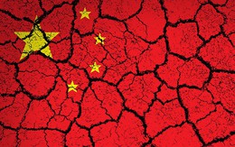 Tại sao Việt Nam sẽ không trở thành Trung Quốc 2.0?