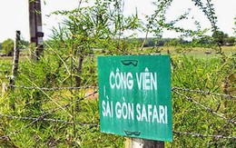TP Hồ Chí Minh: Công bố kết luật thanh tra toàn diện dự án Sài Gòn Safari