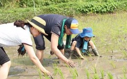 "Nhà không có gì ngoài nổi tiếng và tiền bạc" nhưng Nữ hoàng làng thể thao lại nuôi dạy 3 con như thế này