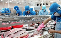 Vĩnh Hoàn (VHC): Kim ngạch xuất khẩu 10 tháng đạt 263 triệu USD, giảm 15%