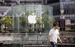 Apple lại viết đơn "kêu cứu" mong Chính phủ Mỹ đừng đánh thuế iPhone