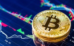 Giá Bitcoin vượt mốc 10.000 USD, nhà đầu tư phấn khích