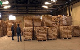 Doanh nghiệp gỗ “tỉnh táo” khi đầu tư FDI từ Trung Quốc gia tăng