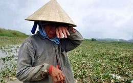 Chuyên gia nông nghiệp châu Á: EVFTA với nông nghiệp là câu chuyện của nhiều người, hãy công bằng hơn với nông dân Việt Nam!