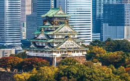 Là điểm đến du lịch hàng đầu châu Á, Osaka Nhật Bản chứa đựng vô vàn điều thú vị mà du khách lần đầu đặt chân đến không nên bỏ qua