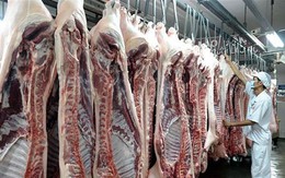 Lo Tết thiếu thịt, vì sao doanh nghiệp còn e ngại không tham gia cấp đông thịt lợn?