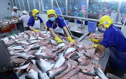 Hàn Quốc vẫn còn là thị trường khá "xa lạ" với cá tra Việt Nam