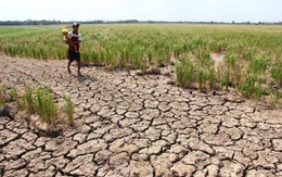 World Bank: Trên thế giới, một mét khối nước tạo ra 19,42 USD giá trị gia tăng, ở Việt Nam chỉ tạo ra 2,37 USD