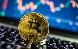 Bitcoin rơi "xuống vực thẳm" sau câu nói của ông Trump