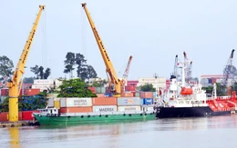 Cảng Đồng Nai (PDN): Lãi quý 2 đi ngang cùng kỳ, 6 tháng hoàn thành 56% kế hoạch năm