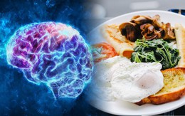 Nhịn ăn sáng 2 lần/tuần và duy trì 2 thói quen này, chẳng những không nguy hiểm mà còn cải thiện tối đa não bộ: Bác sĩ thần kinh đã thử và thành công!