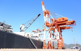 Cảng Quy Nhơn: Doanh thu nửa đầu năm đạt 241 tỷ, dịch vụ cảng tăng tốt với 43%