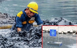 Thí điểm làm sạch sông Tô Lịch bị ảnh hưởng do chuyên gia Nhật Bản nóng vội
