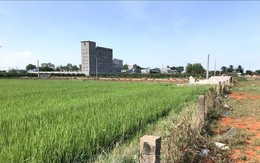 Khởi tố vụ án sai phạm về quản lý đất đai tại thành phố Phan Thiết, Bình Thuận